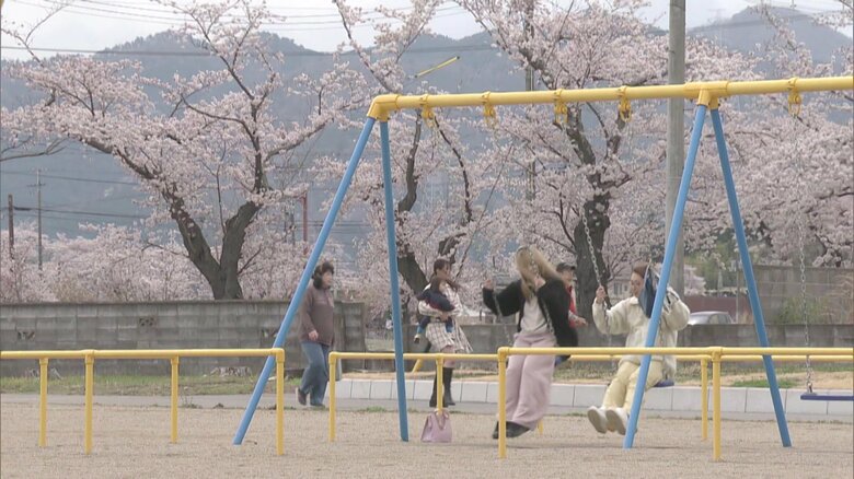 夜の森地区のサクラを自由に楽しめるように