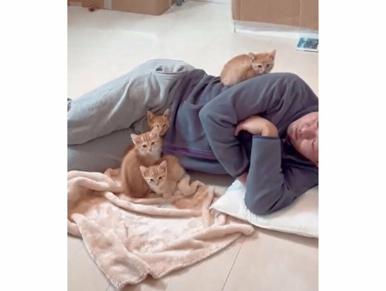 提供：oimo210さん