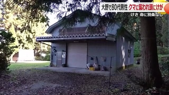 80代男性がクマに襲われた現場