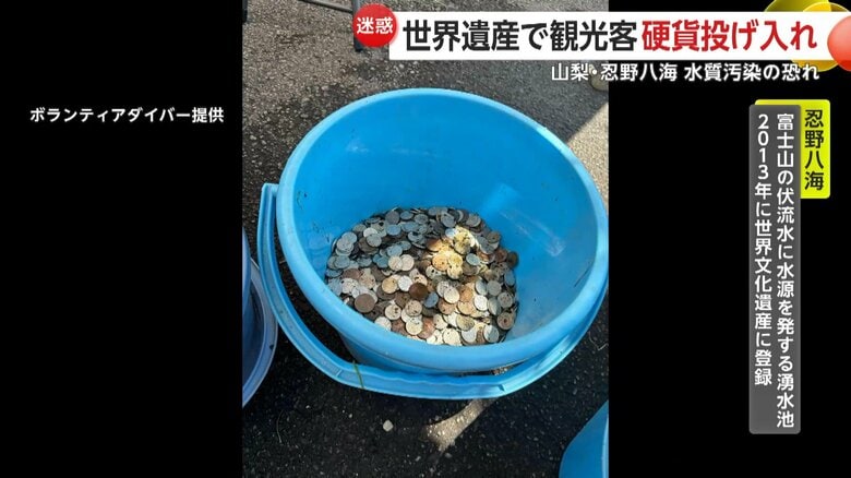 池の底から回収した硬貨