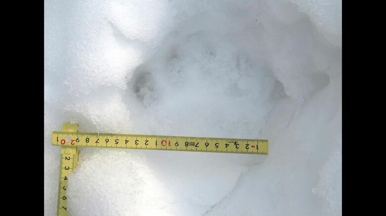 札幌市西区でも通行人がクマ目撃（資料：札幌市）