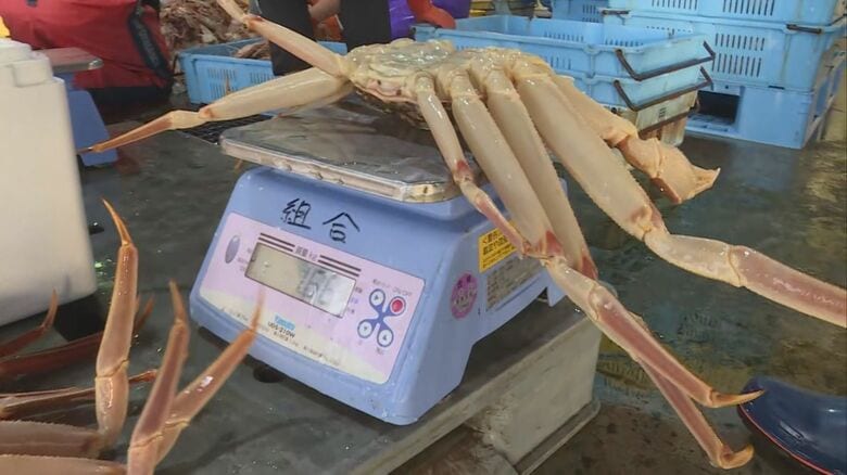 2年連続「輝」に期待