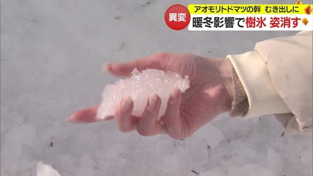 溶けて崩れ、再度凍ったのか塊のような状態に
