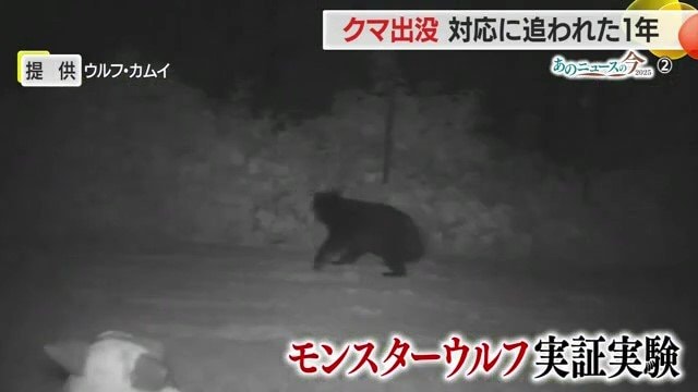 山形市は、この実証実験を経て2026年度にモンスターウルフ1台を本格導入すると決定