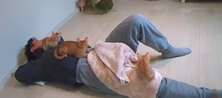 提供：oimo & yuzukiさん