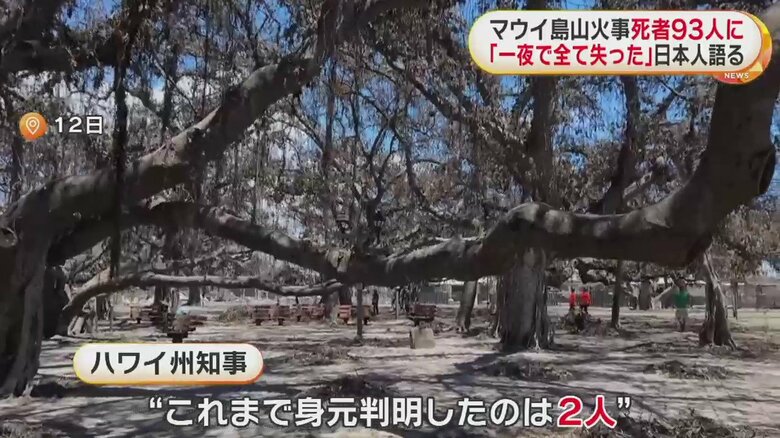 一面、焼けてしまったハワイ・マウイ島の様子