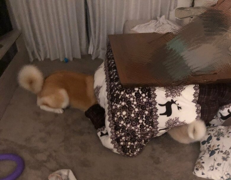 こそこそ話し中