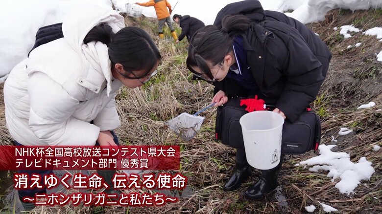 秋田県大会テレビドキュメント部門・優秀賞『消えゆく生命、伝える使命』の一場面