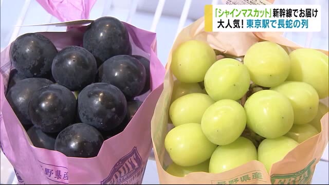 信州産の「シャインマスカット」 新幹線でお届け 1房1500円 大人気!東京駅に長い列