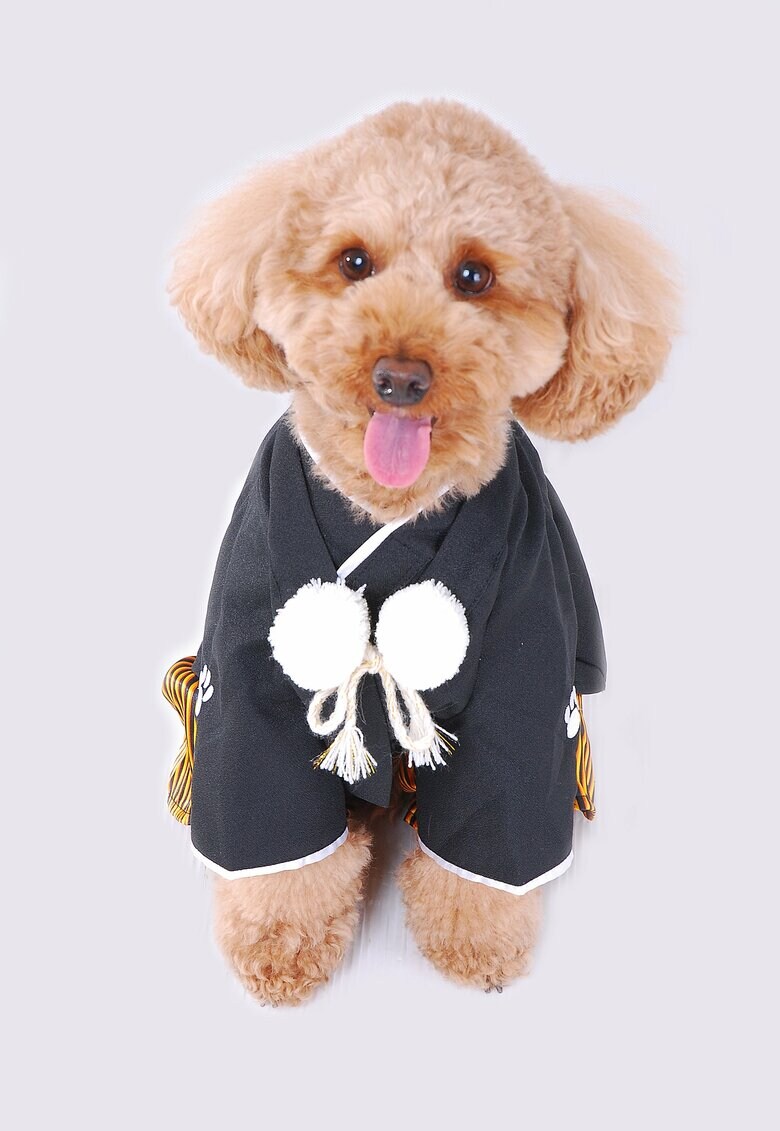 和装で記念撮影