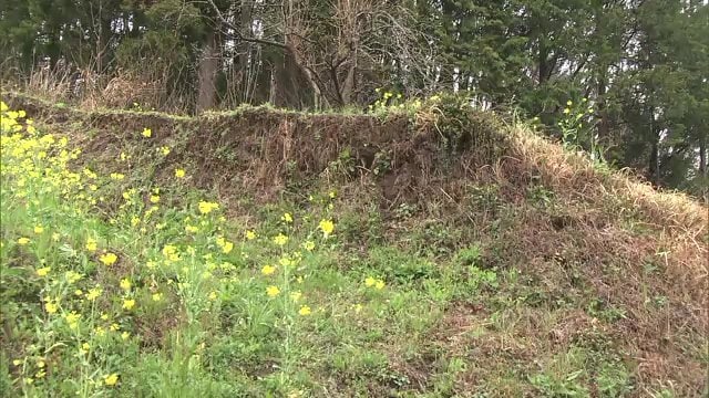 2011年4月11日の地震で出現した「井戸沢断層」（いわき市田人町）