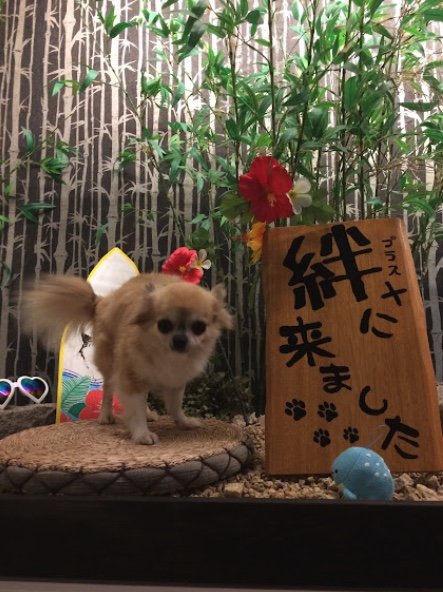 提供：榊 柾人さん