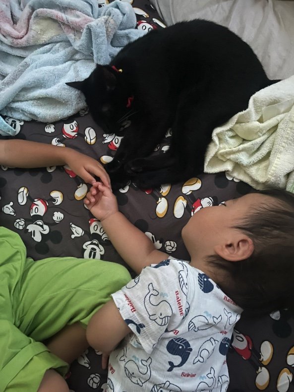 提供：ゴンゾウR4さん