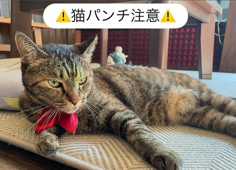 旅館での接客は“ツンデレ”だそう