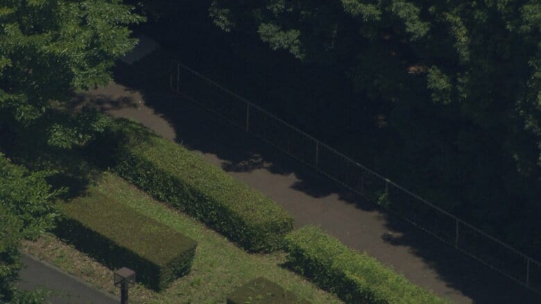 小中高生ら15人がハチに刺された現場周辺（茨城・つくば市）