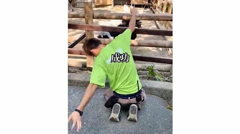 ダチョウもキレのあるダンスを踊り返してくれた