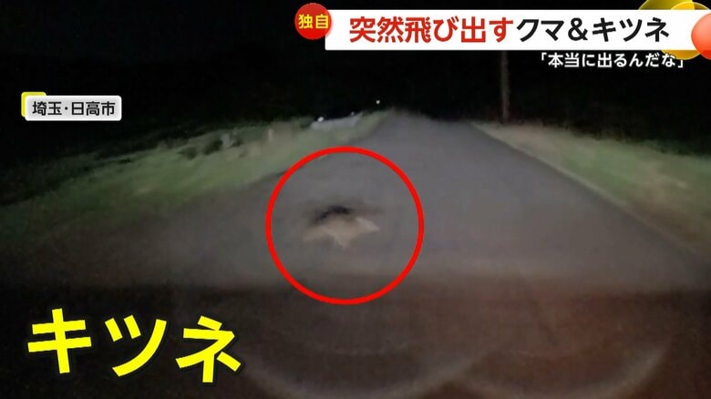 埼玉・日高市では、街灯のない夜道をキツネが横切った