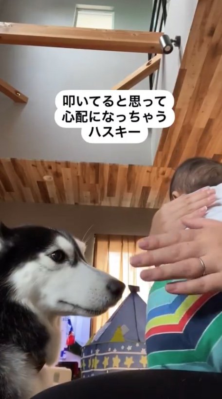 提供：akariさん
