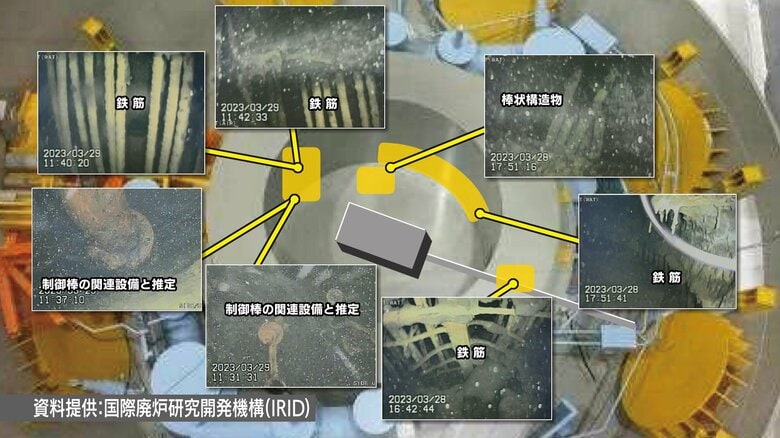 資料提供：国際廃炉研究開発機構（IRID）