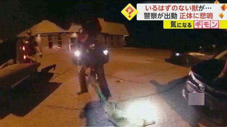 いるはずのない“獣”が警察官によって引っ張り出される様子⑤
