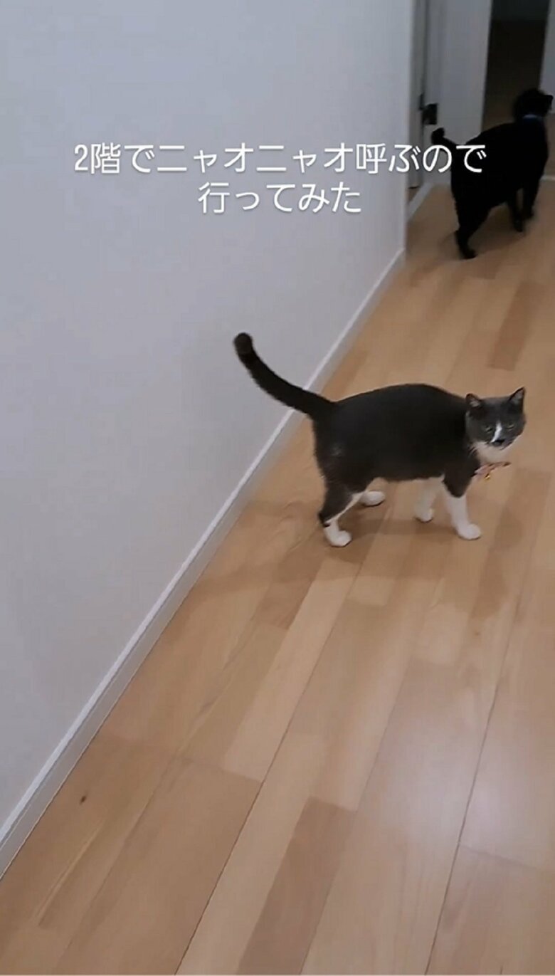 「ちゃんと来てる？」とでもいうかのように、振り返り確認してくるさちちゃん