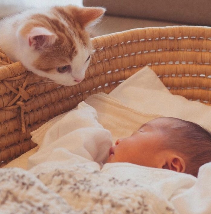 初対面の様子（提供：こなつさん）