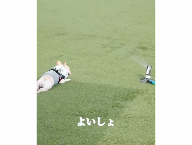 提供：むぎさん