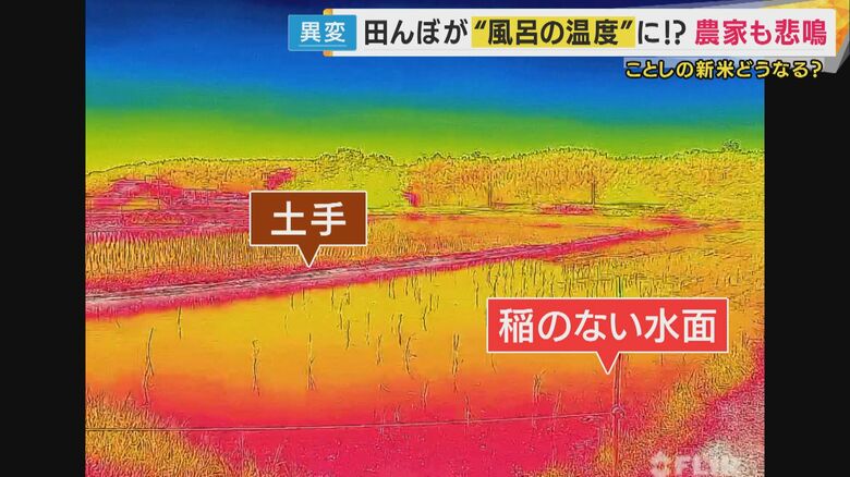 水面は真っ赤っ赤