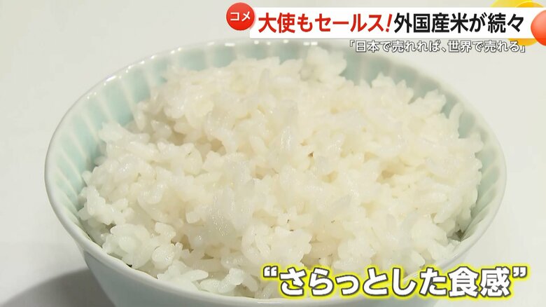 さらっとした食感が特徴のカルローズ米