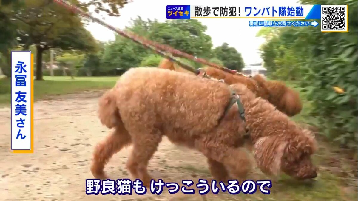 クンクンクン…犬のおまわりさん」115匹がパトロール 広島県警