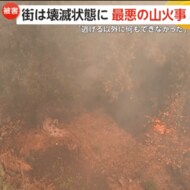 「無力さを感じる…」“過去最悪の山火事”で街が壊滅状態に　「電気止まって」住民バケツで応戦　家庭用ホースで消火試みる姿も　スペイン・ポルトガル