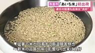 愛知県内で最も早く…弥富市で新米の出荷式「あきたこまち」猛暑続くも出来は良好 12日以降に店頭へ