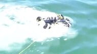 フグやヒトデなど発見…漁港で水中ドローンの体験会 小中学生20人が操り海洋ゴミの現状も自らの目で確認