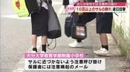 サルの群れが学校の近くに…10匹以上を連日目撃　学校は児童や保護者に注意呼びかけ　大分
