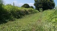逃げ込んだ農道で暴行か　追ってきた車に複数人　友人4人とバイク走行の17歳男子高校生死亡　神奈川・相模原市