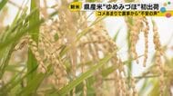 新米シーズンに農家悲鳴…コメ余りで価格下落「赤字経営に」新米の季節に農家から悲鳴　国の価格支援を求める声も