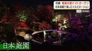 【中継】奄美の里ナイトガーデン　日本庭園で楽しむイルミネーション　鹿児島市　