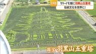 「山形・日本ならではの伝統文化を世界に発信」　サトイモ畑に実物の3.5倍の地上絵“五重塔”　山形