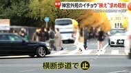 「車来てます！下がって！」神宮外苑イチョウ並木に“映え”求め殺到…赤信号の横断歩道や車道中央でも撮影　六本木“イルミ”は警備員増員
