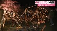 夜桜と竹灯りの共演　満開の河津桜と竹灯り300個と大型オブジェ　静岡・南伊豆町　