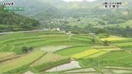 約150年前の用水路建設から歴史を紡ぐ高千穂の絶景「栃又棚田」<br />