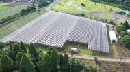 農地を太陽光発電にも活用 “ソーラーシェアリング”期待と課題