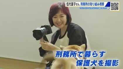 歌手の伍代夏子さん尾道刑務支所を訪問　保護犬とふれあう更生プログラム　伍代さんのアイデアがきっかけ