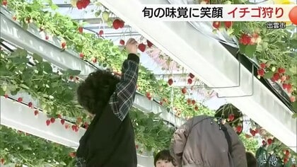 春の味覚を満喫し笑顔！観光農園「出雲ICHIGO縁」来園者1万人達成　家族連れなどでにぎわい（島根）