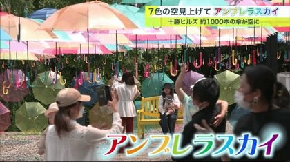 約1000本のカサが彩るアンブレラスカイ 「初めて来たけど、めっちゃキレイ」【北海道発】