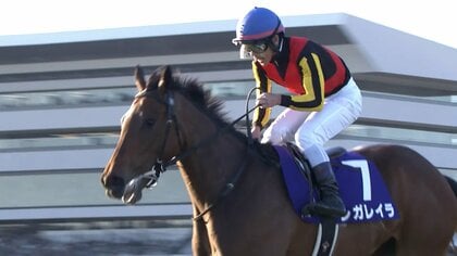 【エリザベス女王杯・GⅠ】「ベリーベリーホース」レガレイラがグランプリホースの貫禄見せつけ最強女王に！戸崎圭太騎手はついに鬼門を突破！