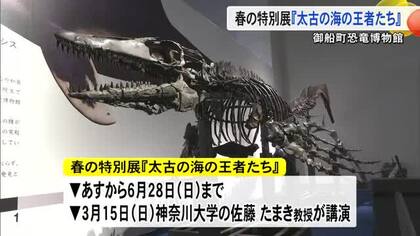 海を支配していた巨大生物が集結　御船町恐竜博物館で特別展『太古の海の王者たち』【熊本】