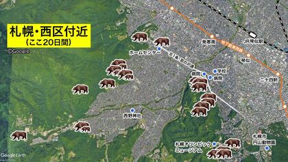 ＜クマ冬眠しない可能性も＞出没相次ぐ札幌市西区―1週間で計5頭が箱わなにかかり駆除も油断禁物？「去年の豊作で個体数増えている」今年の“ドングリ凶作”は冬眠にも影響か＜北海道＞