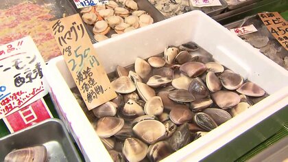 【異変】ひな祭りシーズンにハマグリはうれしい20～30％“値下がり”…一方ホタテは「あっという間に倍」20～30％“値上がり”