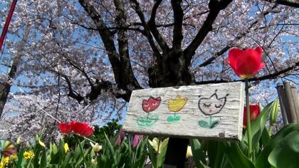 「花には人と人をつなぐ役目が」ガン克服した女性が駅の花壇の手入れを…闘病中に駅の桜に癒やされ【石川発】